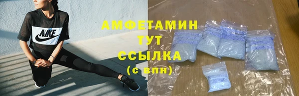 дживик Сосновый Бор