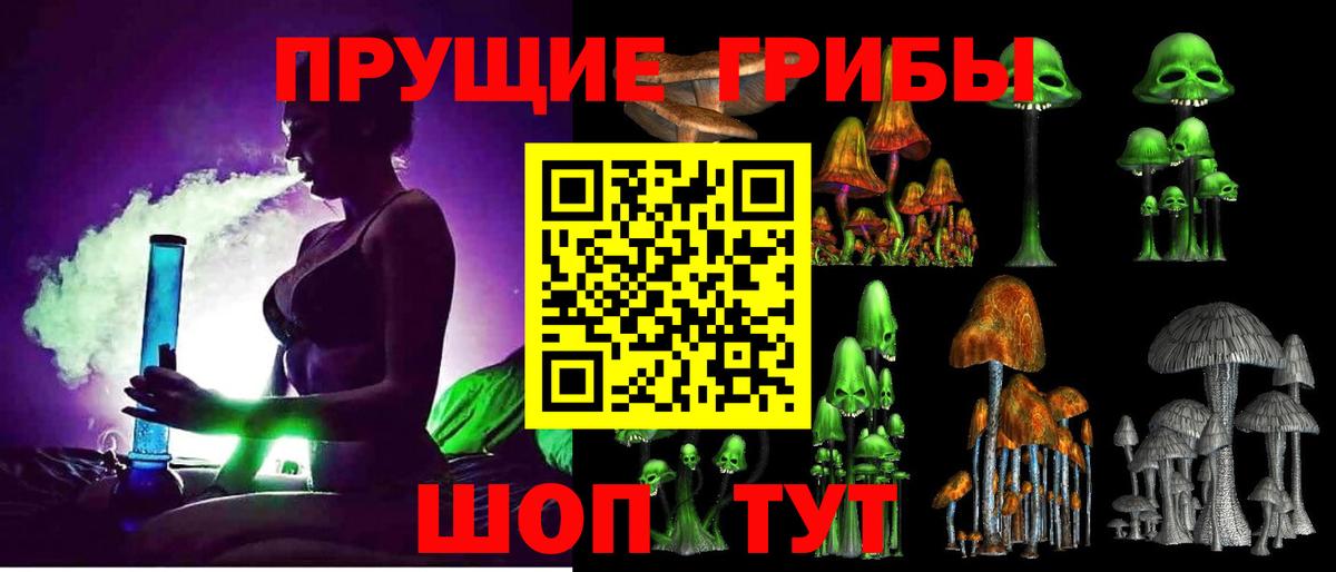 Псилоцибиновые грибы Cubensis Горно-Алтайск