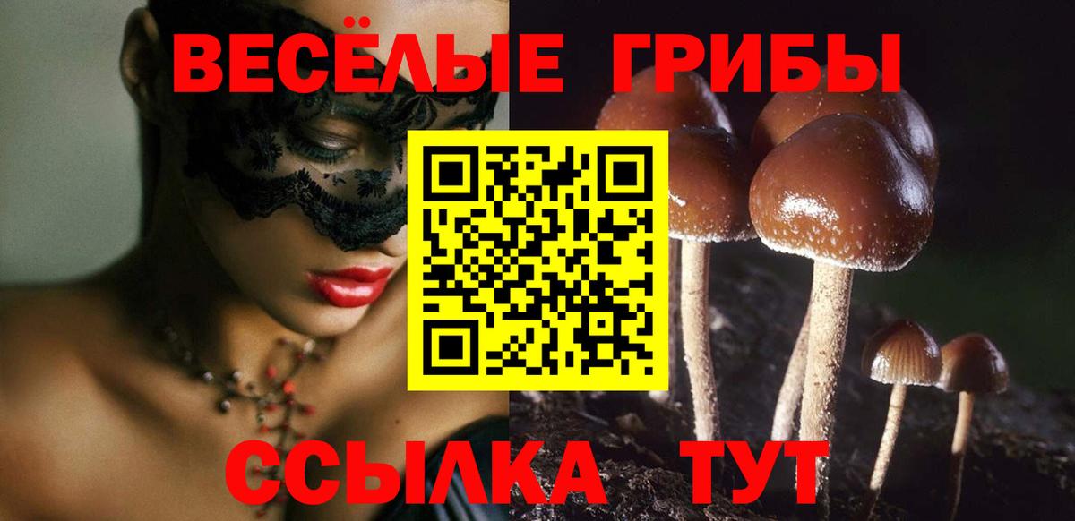 Горно-Алтайск  Экстази  АМФЕТАМИН кристаллы  МЕФ кристаллы  Канабис  ГАШИШ  Вход с VPN  МЕТ 