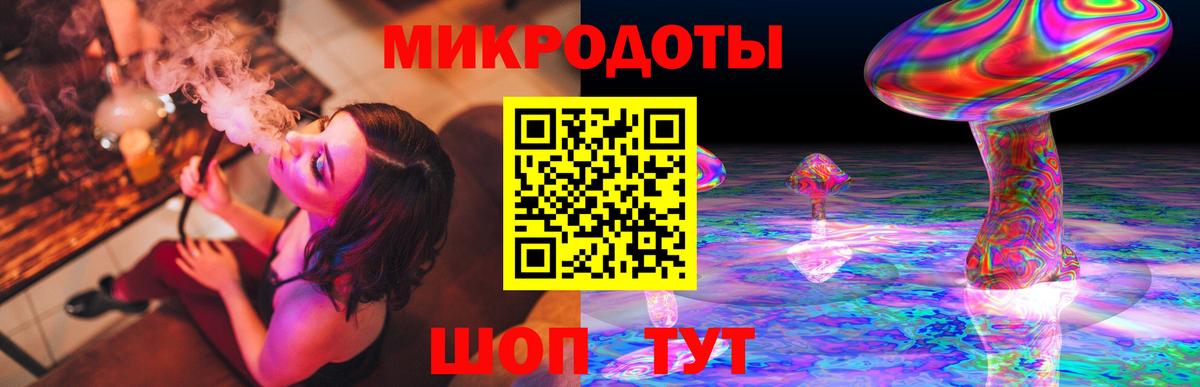 Псилоцибиновые грибы Cubensis  Вход с VPN  Горно-Алтайск 
